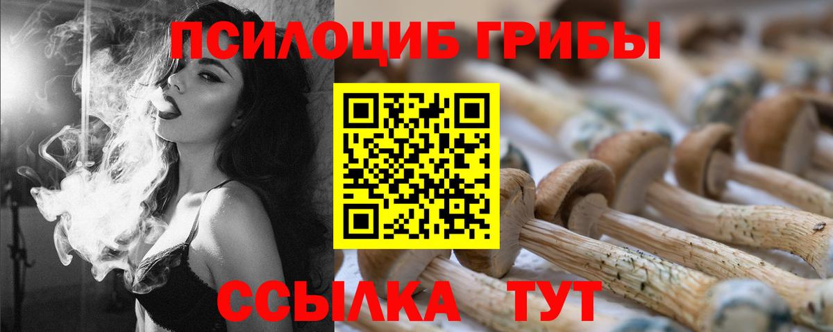 Псилоцибиновые грибы Psilocybine cubensis Семёнов
